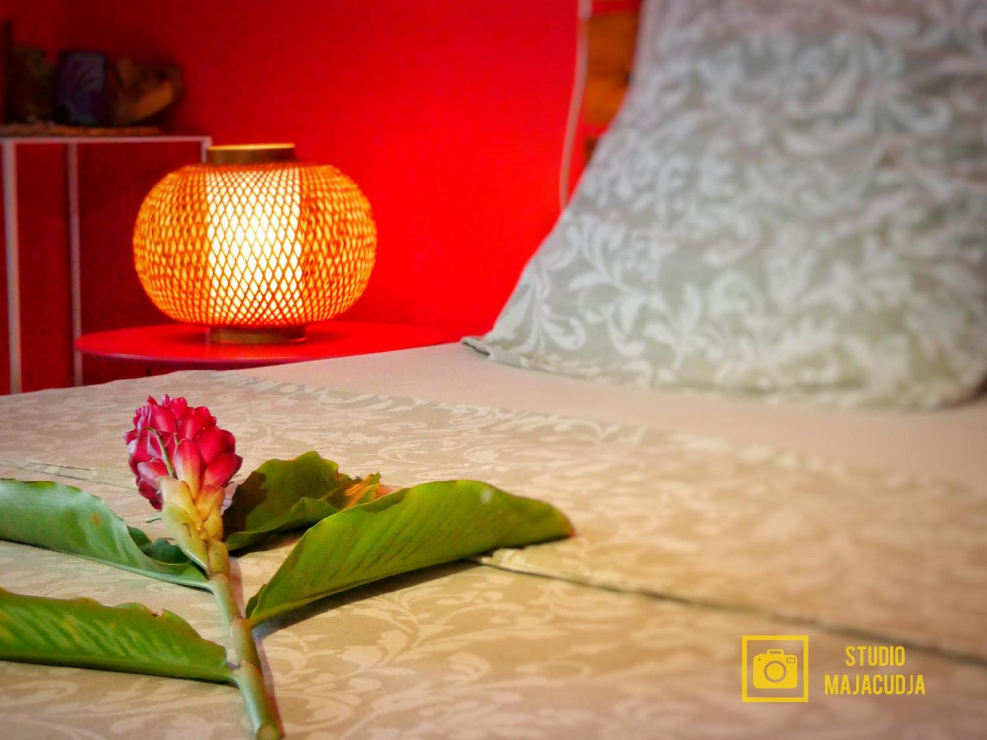 Studio Malacca, Malanga Et Majacudja - O Coeur De デエエ エクステリア 写真